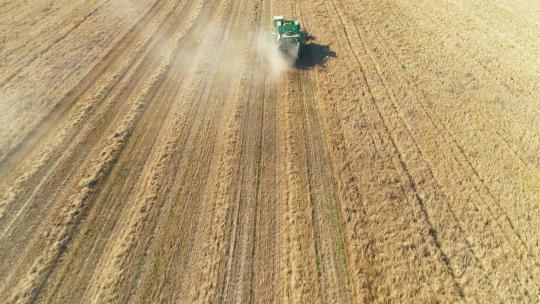 实拍一台收割机在田地里收割小麦