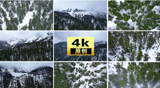 森林大雪树林雪景下雪飘雪雪花雾气雪山高清在线视频素材下载
