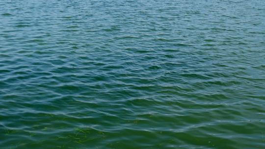 湖面 湖水 水波纹 水波荡漾视频素材模板下载