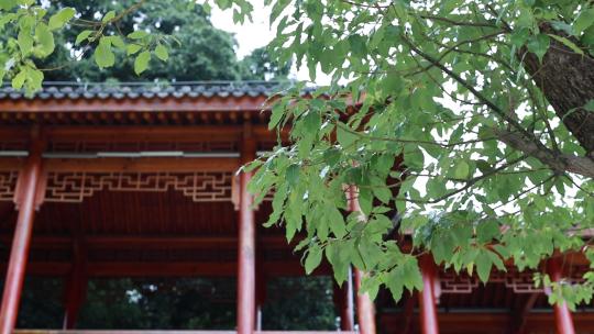 深圳阳台山石岩登山广场，中式园林