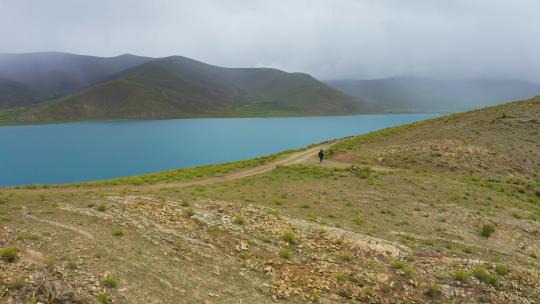 西藏羊卓雍措羊湖