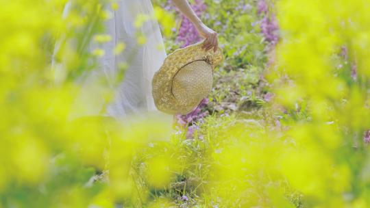 美女油菜花