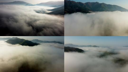云雾下的城市云雾森林雾气森林山脉山峦