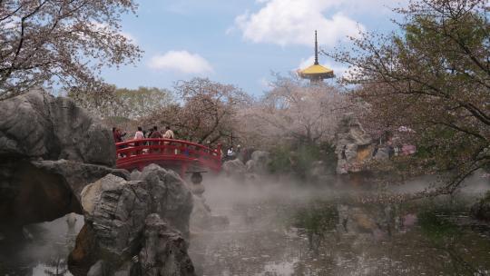 武汉春天东湖樱花园五重塔赏樱的人群