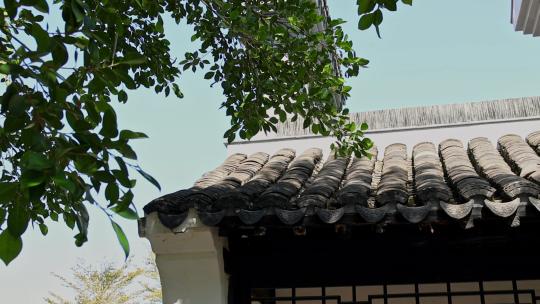 夏天中式建筑屋檐绿植园林古风