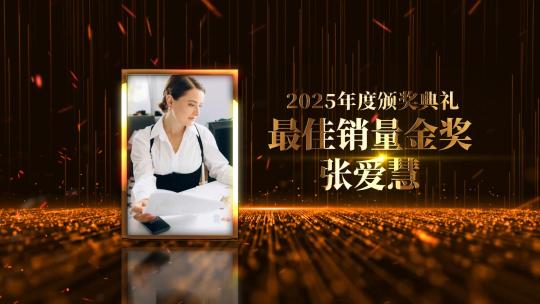 颁奖晚会员工展示AE模板高清AE视频素材下载