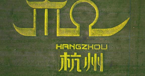 树组成的杭州城市标志图案航拍