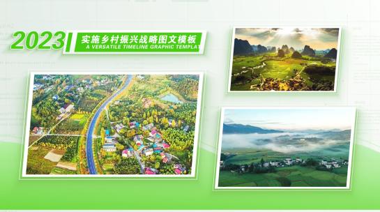 实施乡村振兴战略 图片展示AE模板