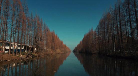 孤独寂寞的秋季河道
