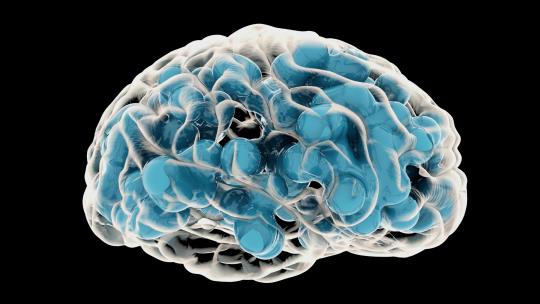 3D人脑旋转运动