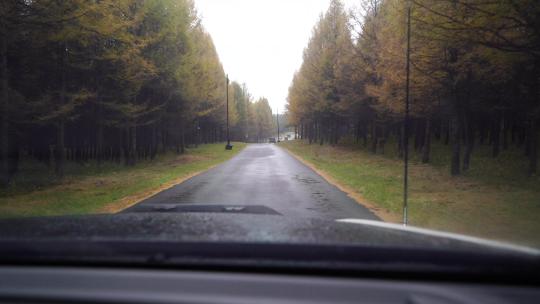 汽车行驶在 下雨的 森林小路上 林间开车