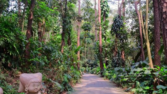 青秀山登山小道