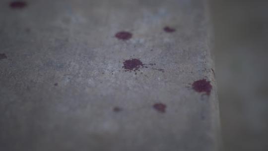 地上干涸的血渍血迹