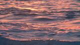 日出时分波光粼粼的海面高清在线视频素材下载