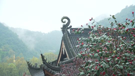 烟雨天杭州上天竺寺庙飞檐和远处的青山薄雾