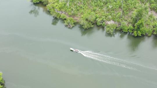 快艇雨林河流河面行驶航拍