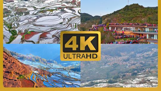 4k航拍云南元阳梯田彩色梯田高清在线视频素材下载