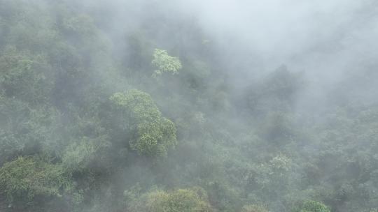 烟雨云雾缥缈的大山