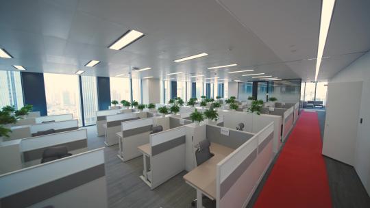 写字楼办公室绿植