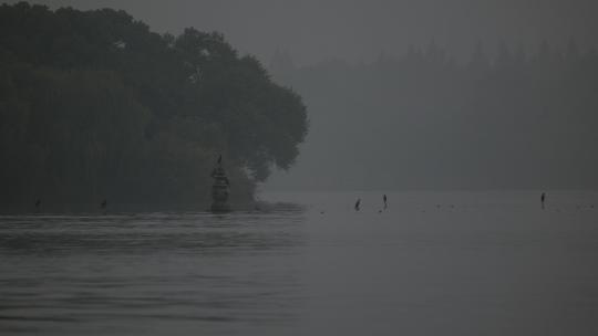杭州西湖苏堤风景实拍视频素材模板下载
