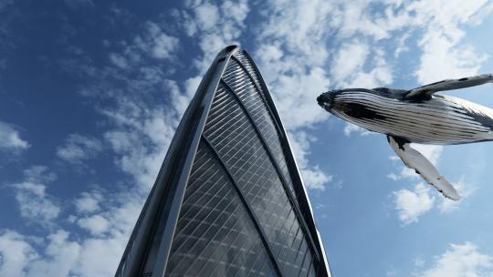 鲸鱼 鲲 飞过大楼视频素材模板下载
