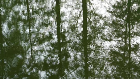 水中的树影和水面的涟漪视频素材模板下载