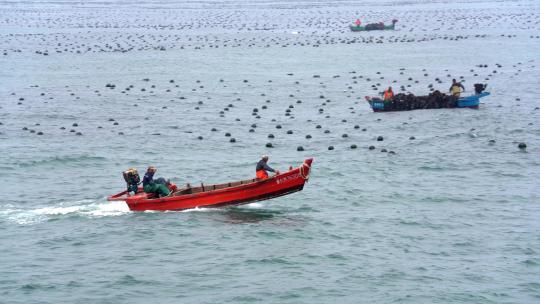 渔民驾驶渔船出海打捞视频素材模板下载