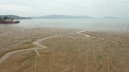 航拍浙江台州玉环市海滨风景