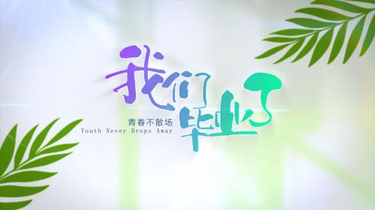 简洁光影文字标题片头（无插件）视频模板