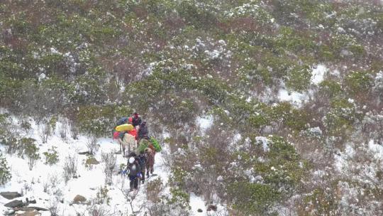 攀登岷山山脉都日峰的登山者运送物资的马帮