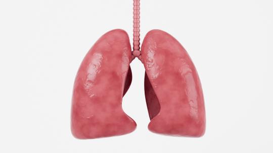肺部感染肺部疾病动画视频素材模板下载