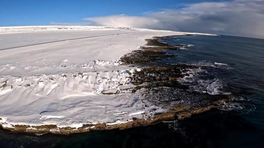 FPV无人机航拍冬日雪景海岸海浪群岛海鸟