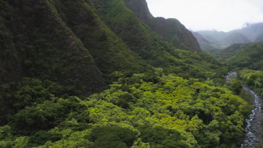 高峰，旅游，热带，景点，哈马库阿海岸，森林，农村，美国，海，怀皮奥山谷，c