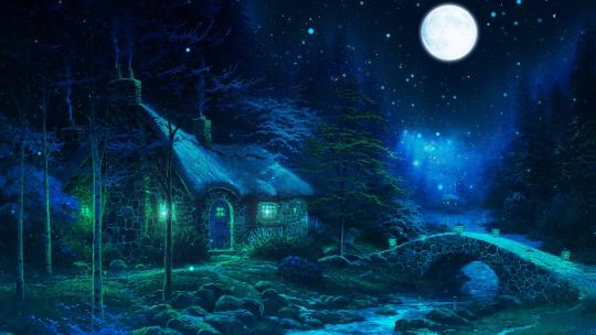 唯美神秘森林小屋月亮星空背景视频