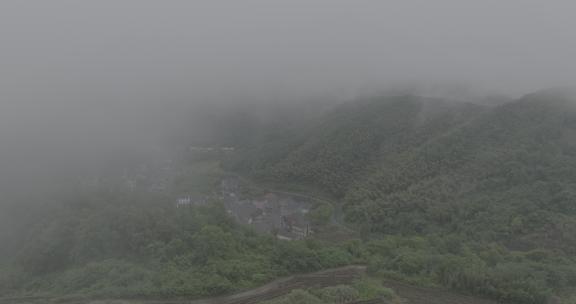 大自然森林茶园村庄云雾大山云海