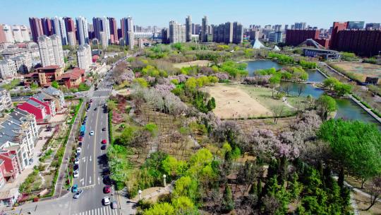 天津现代化城市公园绿地休闲生活