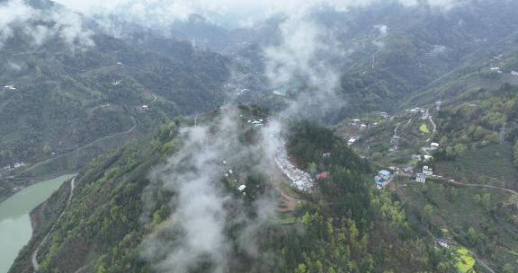 4k高清安康紫阳茶山