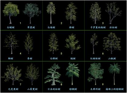 18棵动态树合集_通道