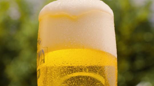 倒啤酒啤酒杯啤酒花金色液体旋转漩涡
