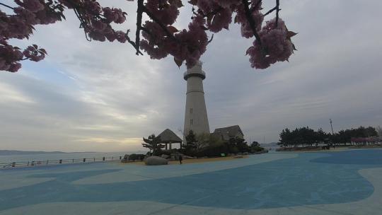 威海悦海公园灯塔广场樱花丛中的悦海灯塔