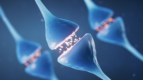 神经元细胞突触生物科技3D渲染