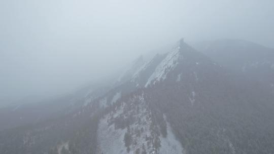 森林降雪鸟瞰图风光美景树林大自然雪花飘落