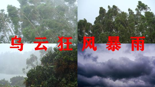 森林狂风暴雨树林风吹雨打台风天乌云密布高清在线视频素材下载
