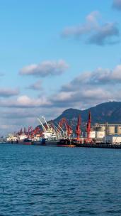 4K  城市海岸线港口码头集装箱物流塔吊作业