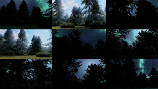 9组森林夜晚 4K视频合集高清在线视频素材下载