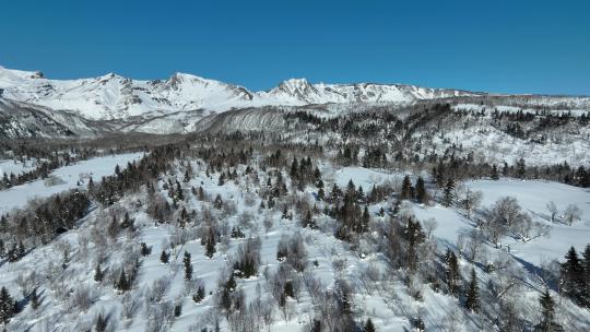 航拍吉林长白山雪原森林自然风光