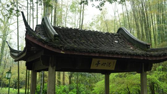 杭州云栖竹径春季清明节雨天古建筑自然唯美