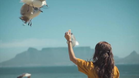 美女喂海鸥  海鸥叼走美女手上的食物视频素材模板下载