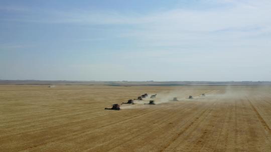 农场农用拖拉机收割成熟作物时产生的灰尘