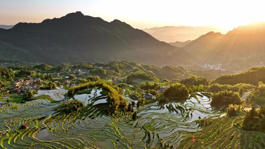4K超清航拍浙江丽水云和梯田九曲云环日出